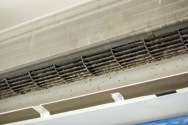 Best Ventilation Cleaning Services  in Mohave Valley, AZ