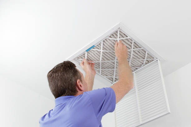 Best Air Duct Sanitizing Services  in Mohave Valley, AZ